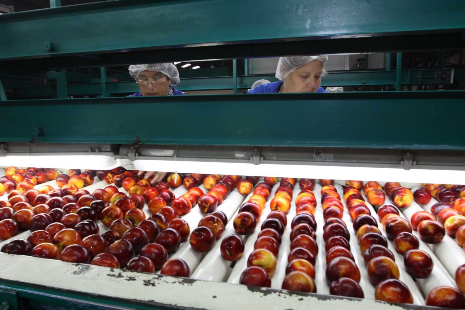 Observatorio Laboral (1) Observatorio Laboral