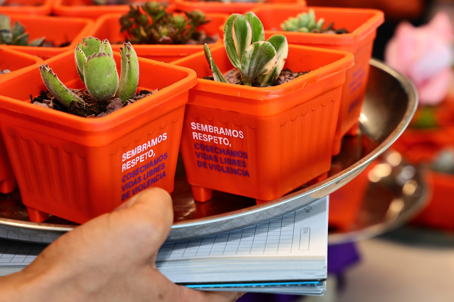 Conmemoración del Día Internacional de la Eliminación de las Violencias contra las Mujeres en la UOH: “Sembramos respeto, cosechamos vidas libres de violencia”