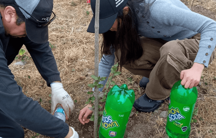 Estudiantes de Ingeniería Agronómica UOH fortalecen su formación práctica con operativo de manejo de arbolado (1) Ingeniería Agronímica UOH