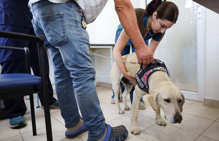 IMG_5685 UOH y Municipalidad de Placilla fortalecen formación veterinaria y atención comunitaria a través de convenio colaborativo