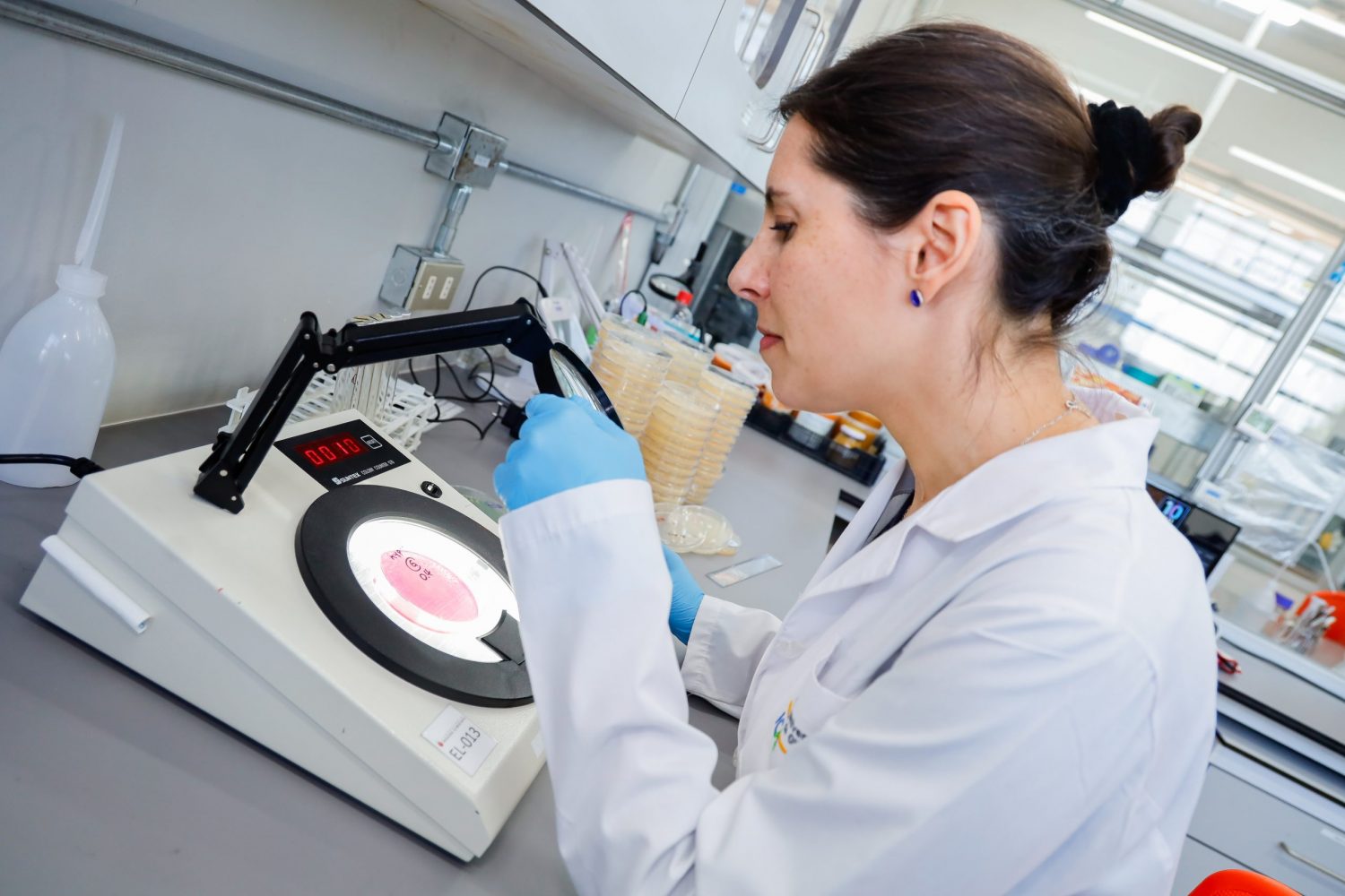 Laboratorios Colchagua Investigación - Día 2-20