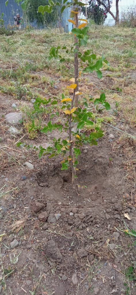 Operativo 1 Ingeniería Agronímica UOH