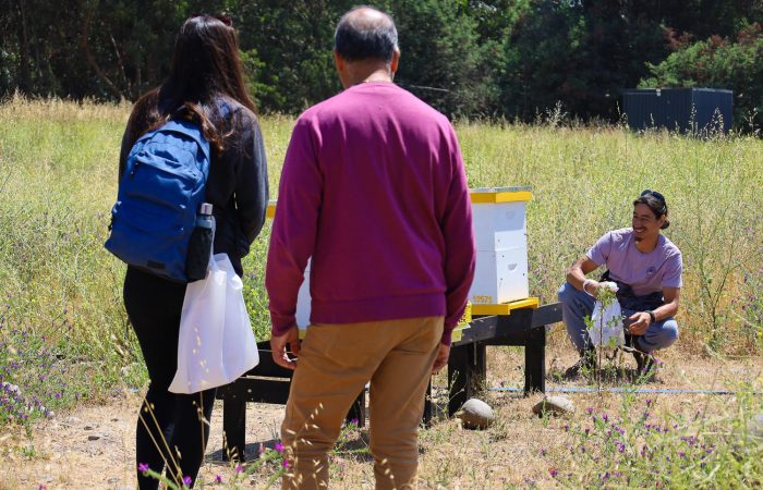 Delegación de apicultores de Rapa Nui visita la UOH para fortalecer colaboración científica y formativa en torno a la producción de miel