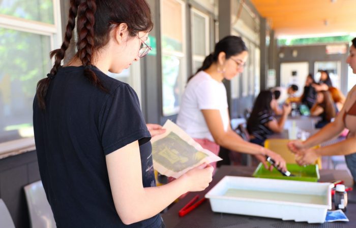 Cursos de Extensión Temporada de Verano