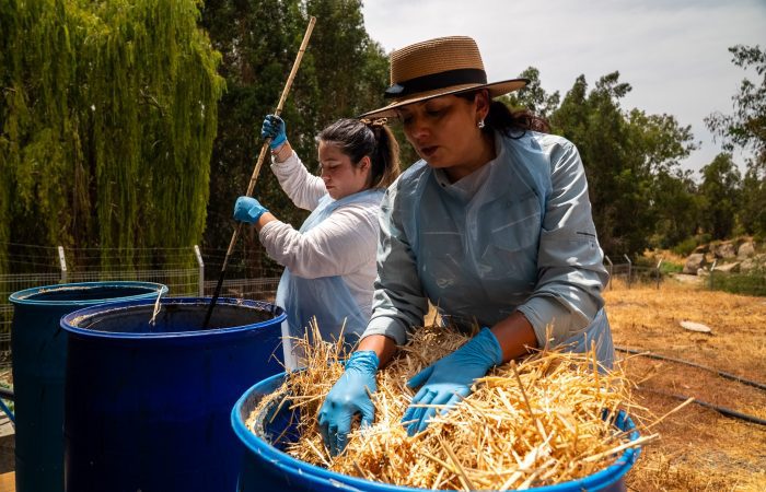 Región de O’Higgins: La Estrella convierte lodos de aguas servidas en fertilizante y reduce impactos ambientales con un piloto de estabilización