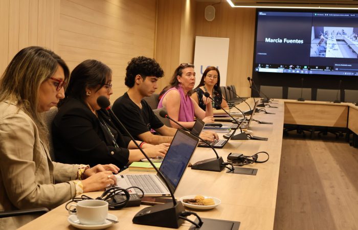 IMG_6201 Comisión Ad-Hoc de Seguridad