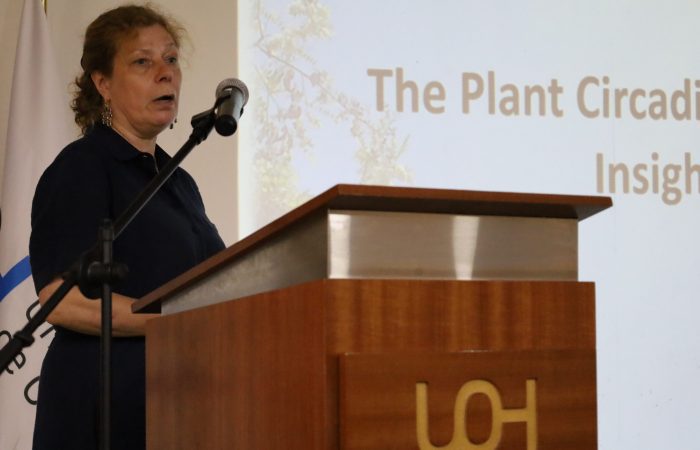 Reloj circadiano vegetal