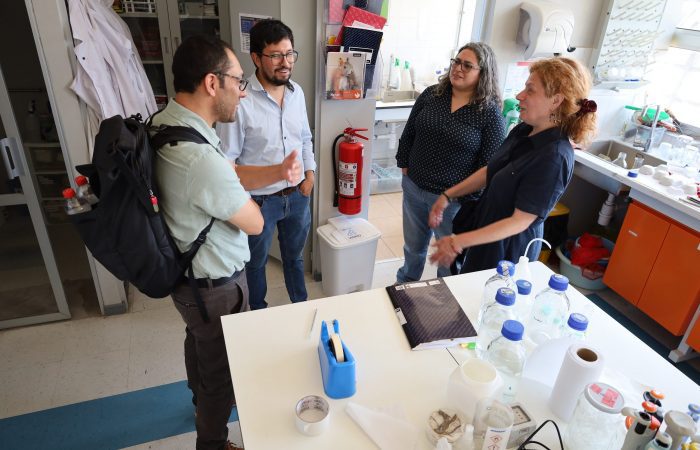 Reloj circadiano vegetal