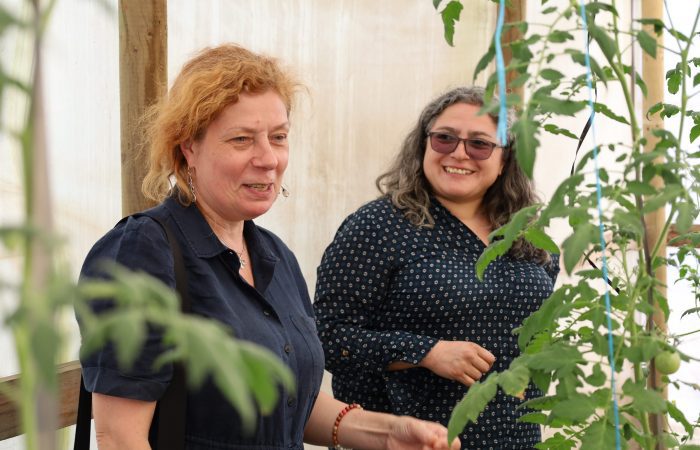 Reloj circadiano vegetal