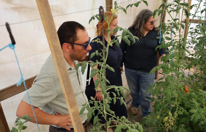 Reloj circadiano vegetal