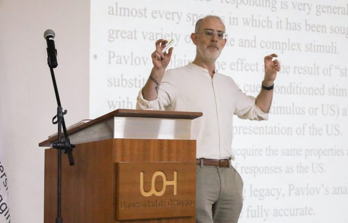 Bienestar animal en cerdos