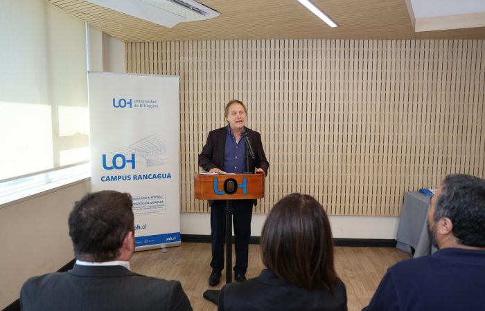 Diplomado en Vino Chileno