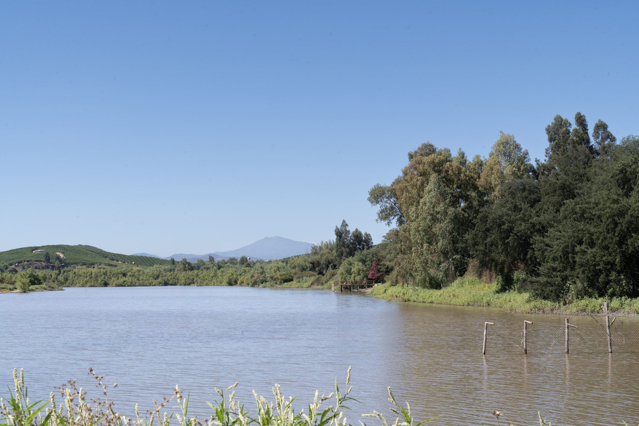 Día Mundial de los Humedales: experta UOH entrega seis recomendaciones para proteger estos ecosistemas clave