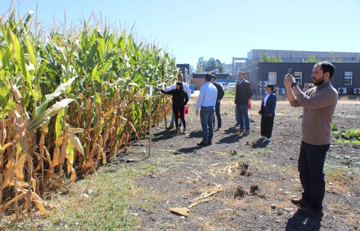 Seminario Internacional Nutrición Vegetal ICA3-04_03_2026-09