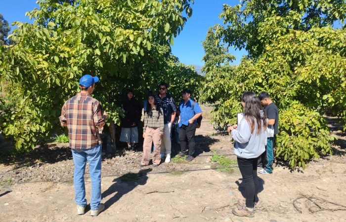 WhatsApp Image 2026-03-31 at 12.59.33 Ingeniería Agronómica UOH