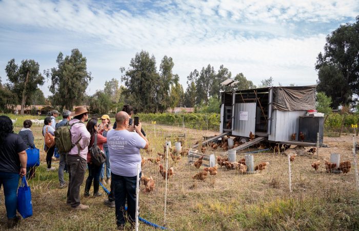 Productores avícolas de O’Higgins visitan innovador sistema de gallinero móvil en Pirque