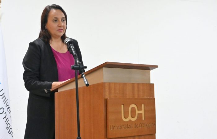 Universidades estatales sellan hoja de ruta 2030: Red Desarrollo Sustentable entra en fase de consolidación