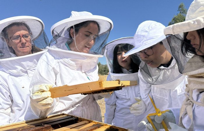 UOH recibe a alumnos de la Escuela Agrícola Cristo Obrero en su laboratorio y apiario