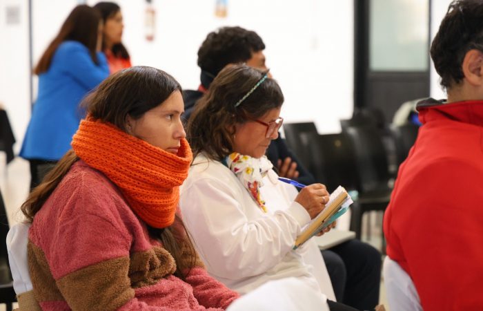 Consejo Asesor Provincial Cardenal Caro
