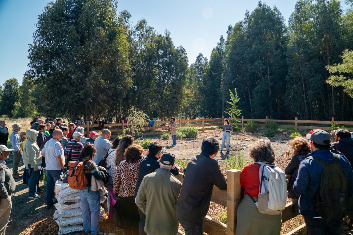 DSC05946 Apicultura regenerativa gana espacio como alternativa productiva en un contexto donde las abejas sostienen el 75% de los cultivos