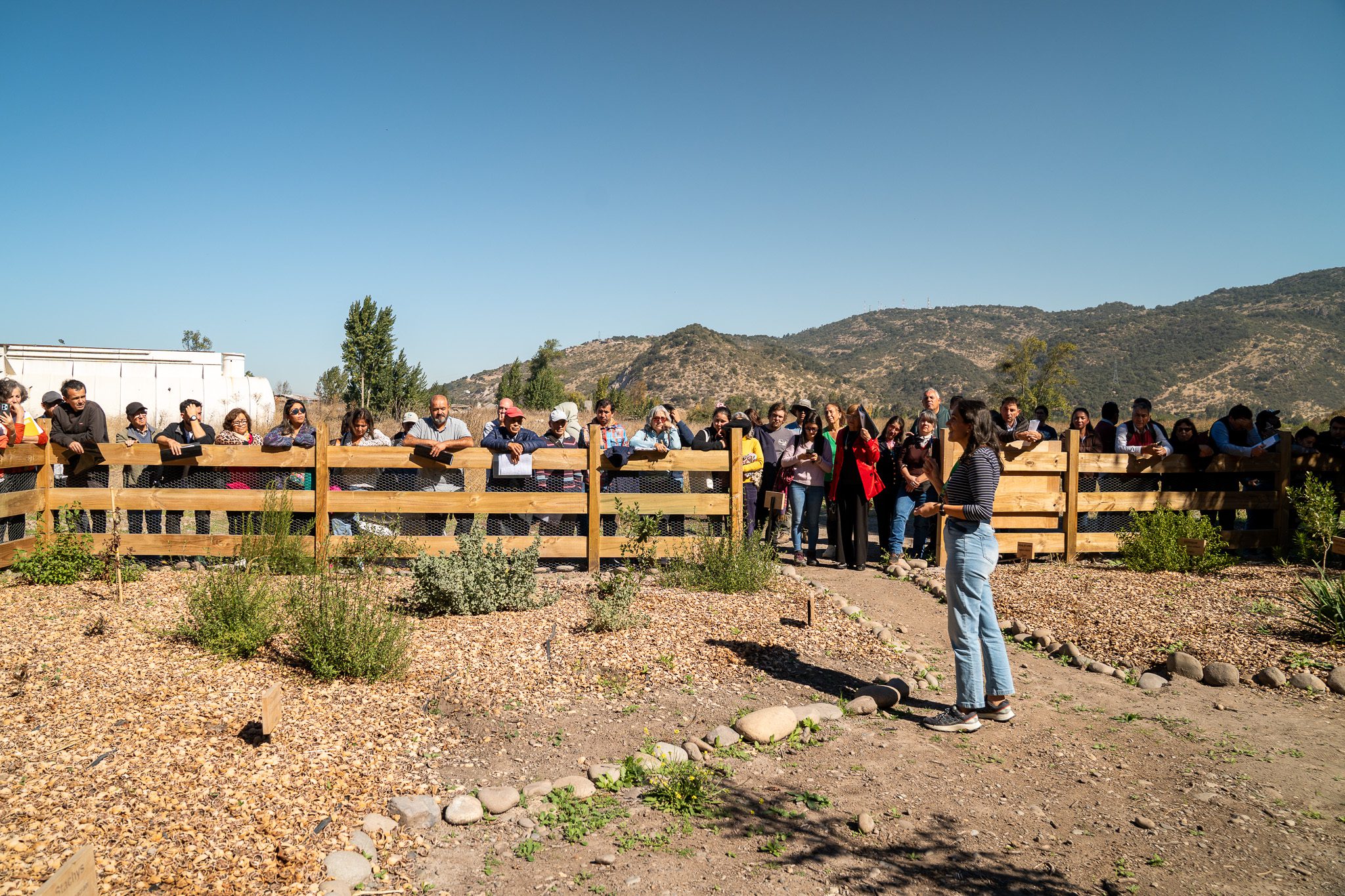 Apicultura regenerativa gana espacio como alternativa productiva en un contexto donde las abejas sostienen el 75% de los cultivos