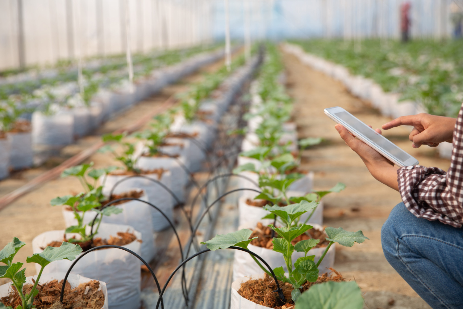 Colchagua se convierte en el epicentro de la innovación agroalimentaria con Agro-Tech O’Higgins 2026