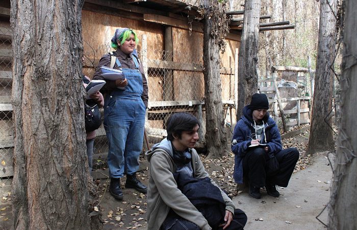 Estudiantes de Medicina Veterinaria UOH fortalecen su aprendizaje en terreno en la Granja Educativa Arca del Pequén