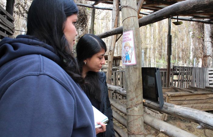 Estudiantes de Medicina Veterinaria UOH fortalecen su aprendizaje en terreno en la Granja Educativa Arca del Pequén