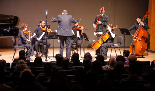 Orquesta de Cámara Orquesta de Cámara