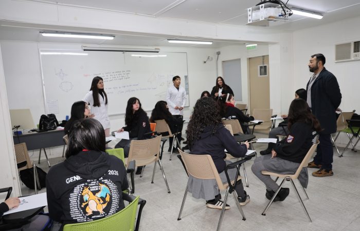 4S2A7262 Pedagogía en Matemática UOH