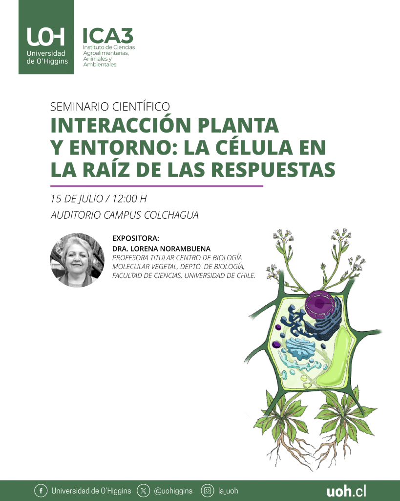 Seminario científico ICA3