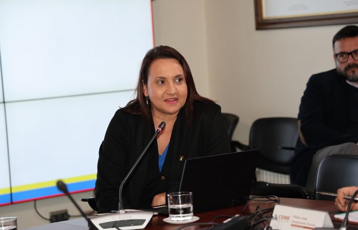 4S2A9051 Rectora UOH presentó al Consejo Regional los avances que consolidan a la Universidad Estatal tras sus primeros 11 años de vida