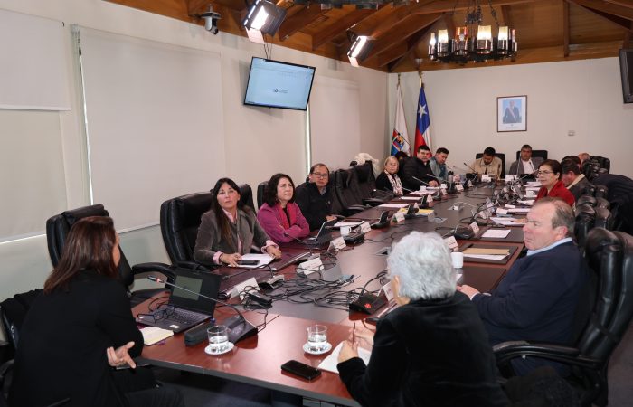 4S2A9145 Rectora UOH presentó al Consejo Regional los avances que consolidan a la Universidad Estatal tras sus primeros 11 años de vida