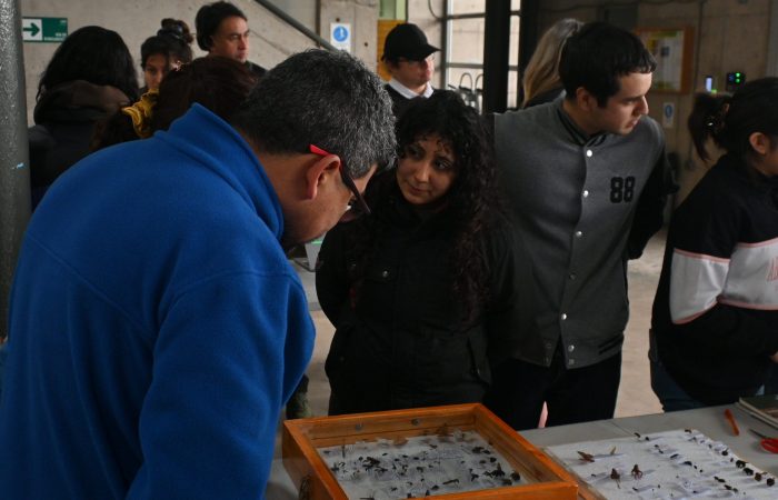 DSC_3004 Estudiantes del curso Entomología Agrícola exhibieron sus insectarios en el Campus Colchagua