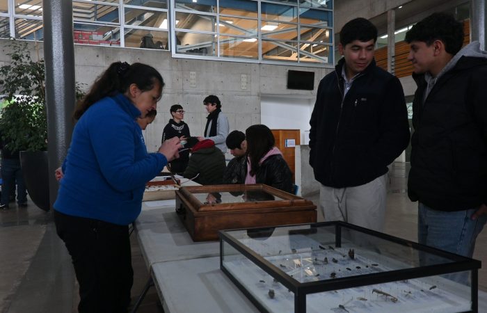 DSC_3005 Estudiantes del curso Entomología Agrícola exhibieron sus insectarios en el Campus Colchagua