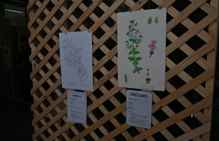 Estudiantes de Ingeniería Agronómica traducen la botánica en ilustración científica