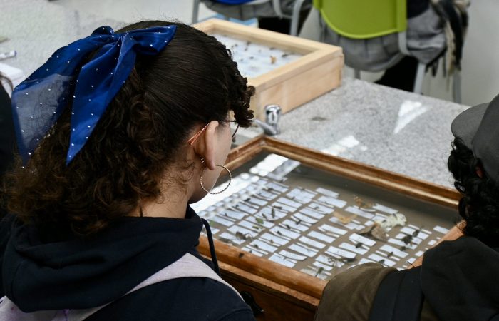 Más de 1.600 estudiantes de O’Higgins viven experiencia de exploración vocacional en un nuevo Puertas Abiertas de Campus Colchagua