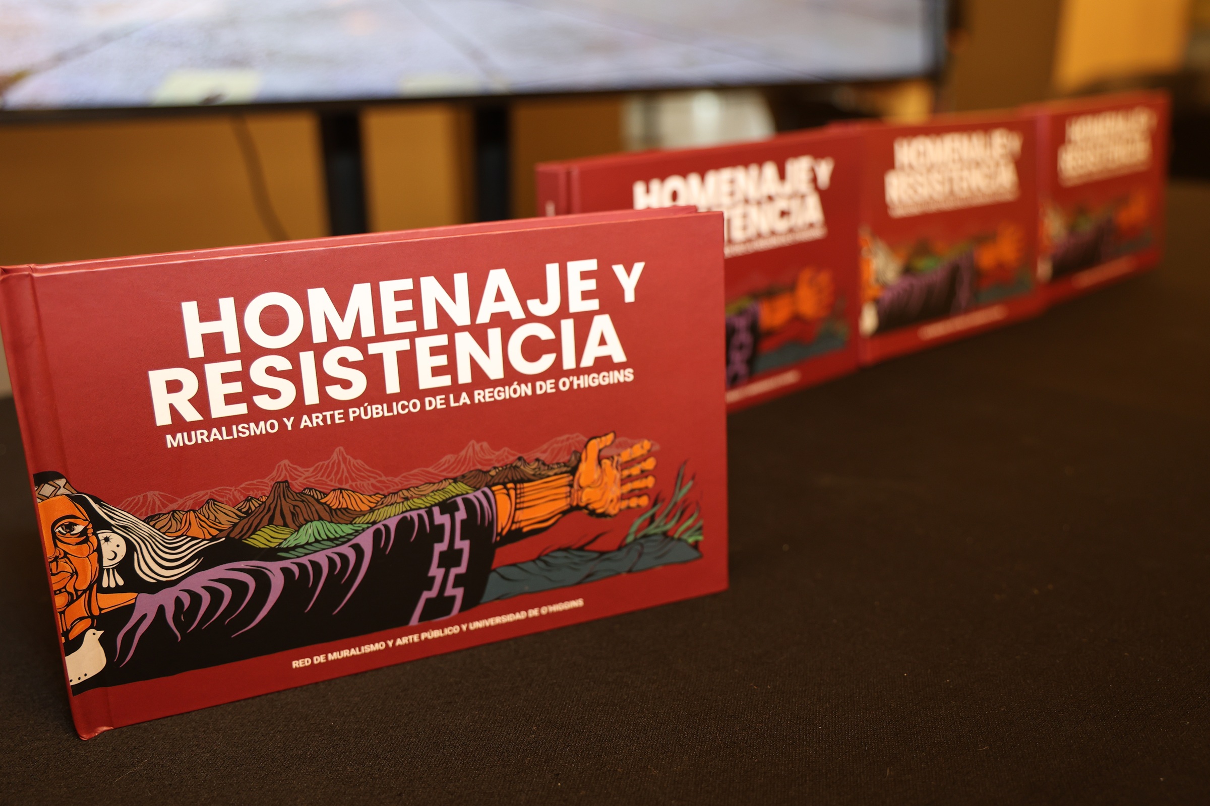 UOH y REDMAP O’Higgins lanzaron libro que rescata la memoria del muralismo regional
