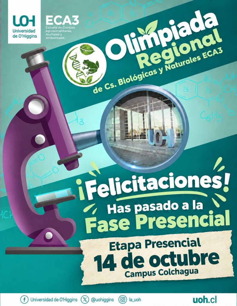 Olimpiada Regional ECA3