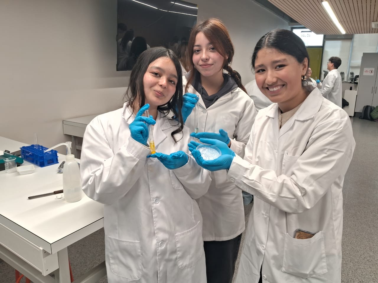 UOH acercó la ciencia a más de 100 estudiantes de la Región de O’Higgins a través de CristalEscolar UOH acercó la ciencia a más de 100 estudiantes de la Región de O’Higgins a través de CristalEscolar