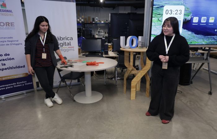 proyecto ortesis Terapeutas ocupacionales ganaron concurso “Desafío de innovación y fabricación digital” que organizó la UOH
