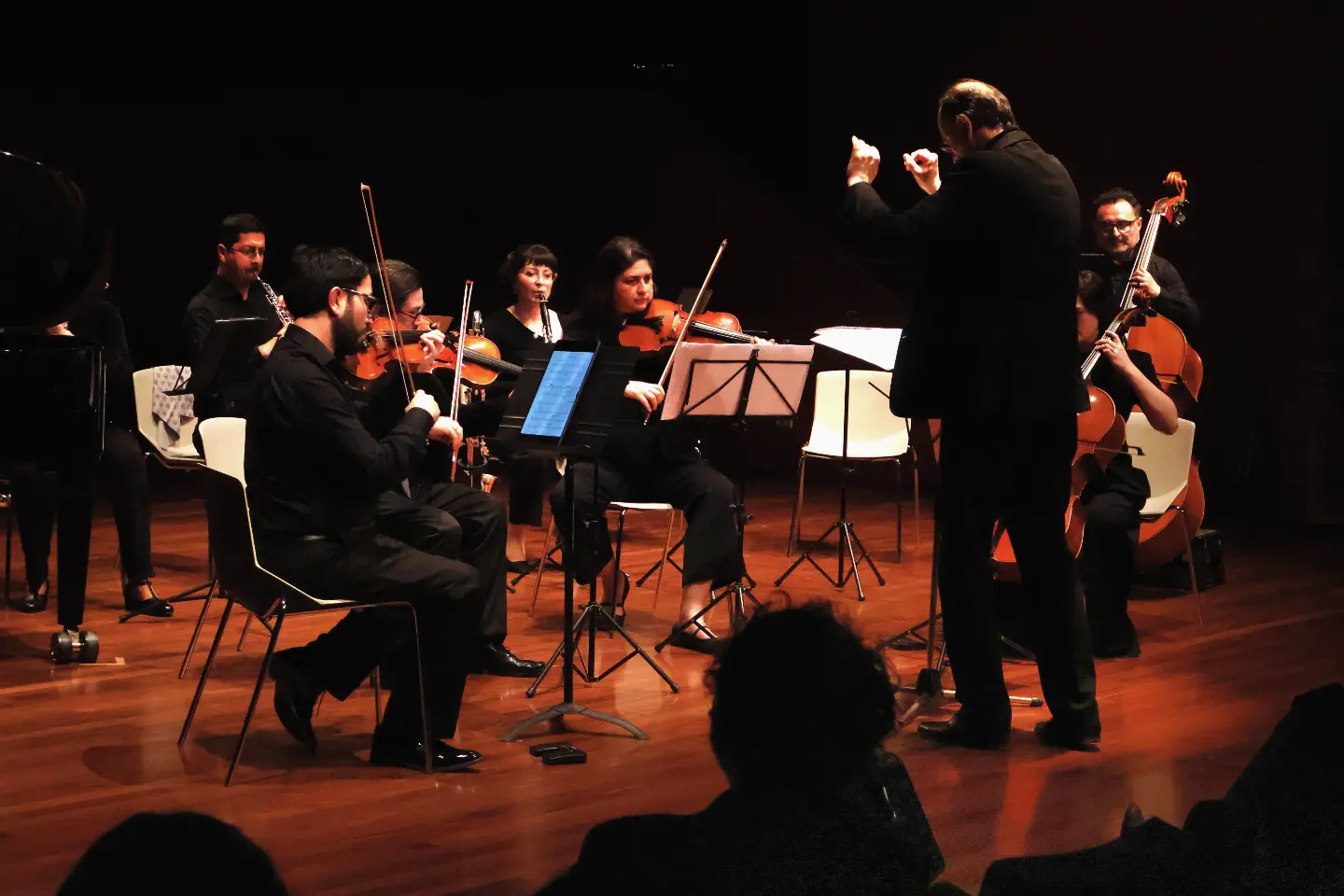 Orquesta UOH realizará conciertos de música chilena