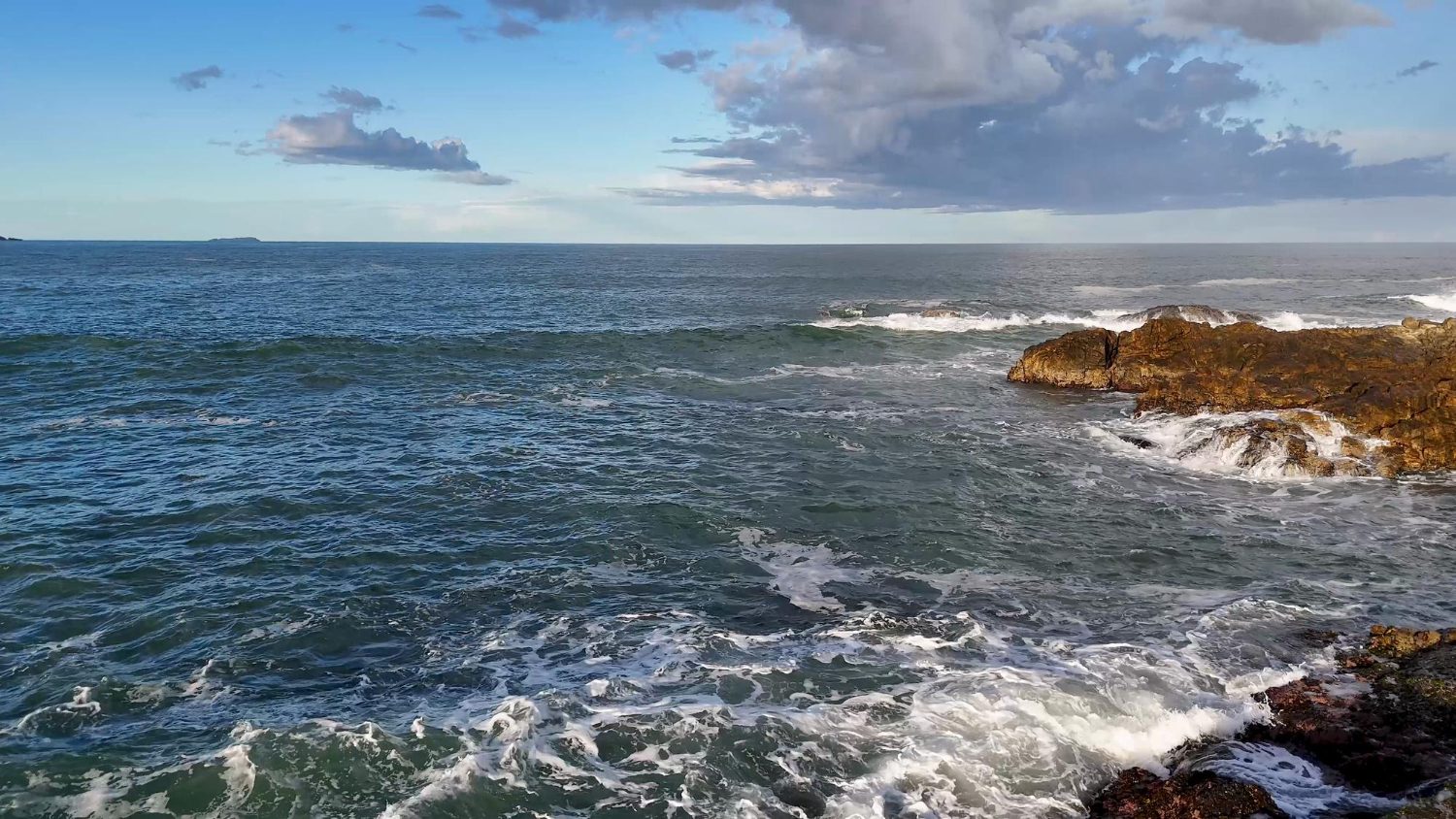 Académico UOH advierte que el cambio climático en el mar favorece enfermedades parasíticas en peces