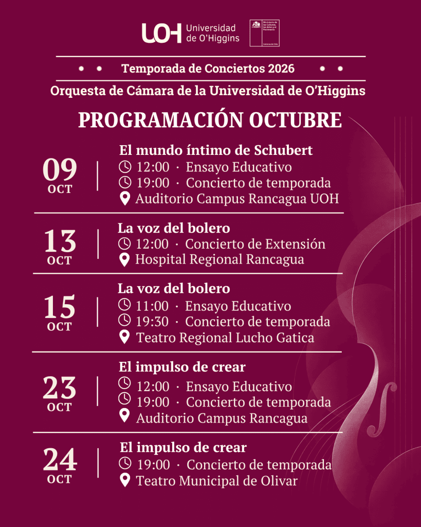 Programa Orquesta de Cámara UOH